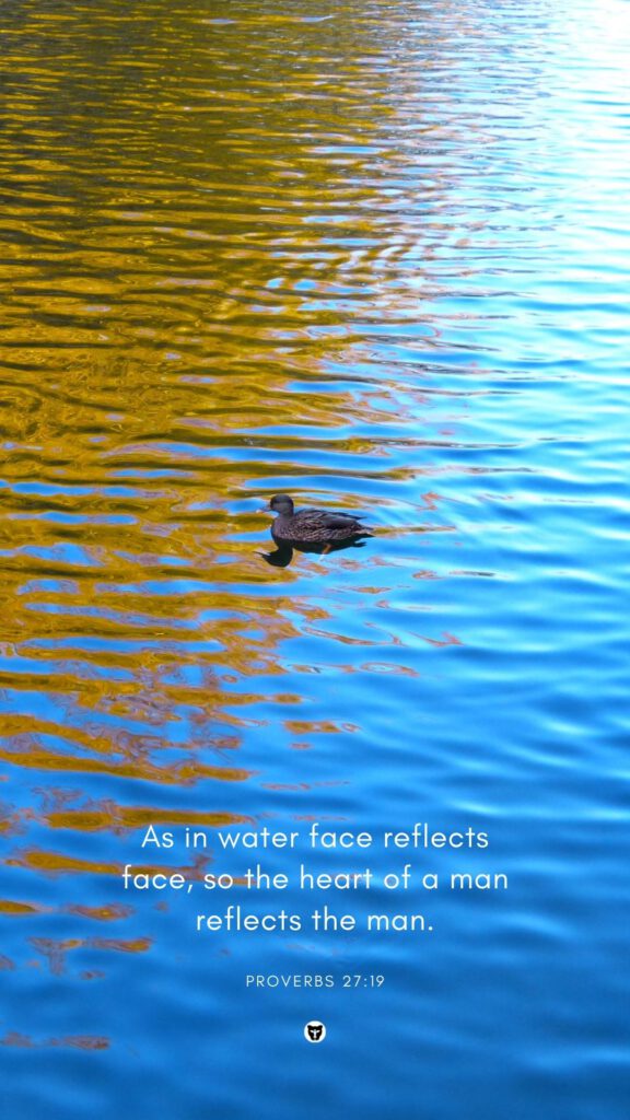 Wallpaper background phone autumn fall Bible verse As in water face reflects face, so the heart of a man reflects the man daniellebernice