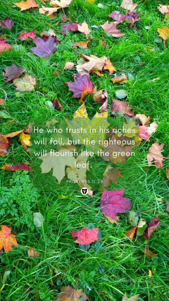 Wallpaper background phone autumn fall Bible verse the righteous will flourish like green leaf daniellebernice 2