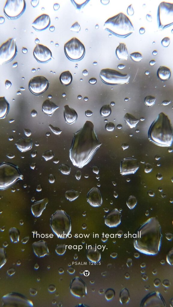 Wallpaper background phone autumn fall rain drops glass Bible verse Those who sow in tears shall reap in joy daniellebernice