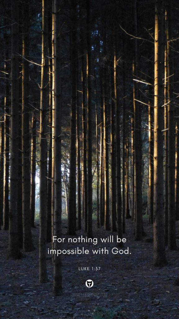 Wallpaper background phone trees forest autumn fall Bible verse nothing will be impossible with God daniellbernice