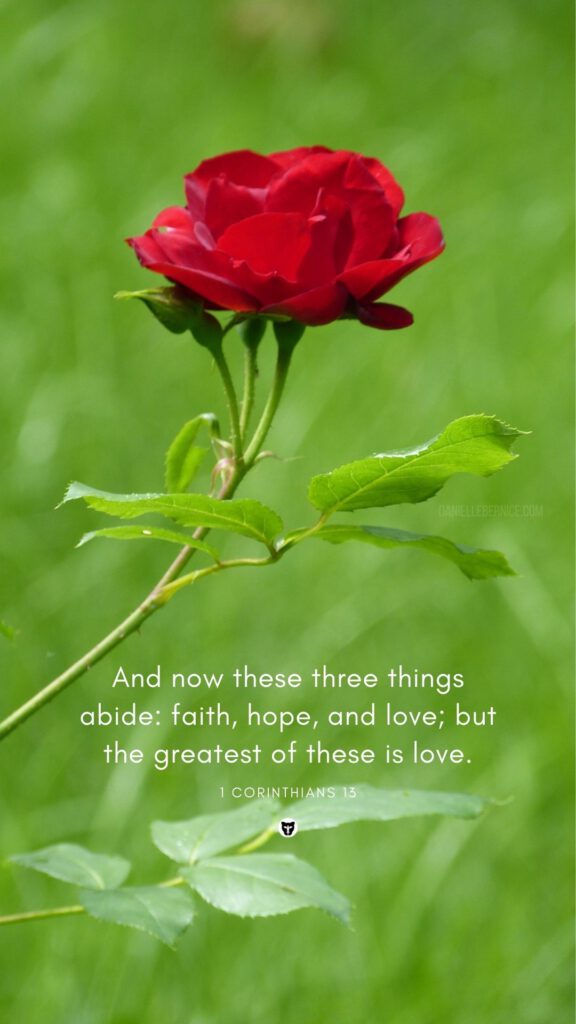 Wallpaper phone rose Bible verse 1 corinthians 13 faith hope love greatest of these is love daniellebernice (2)
