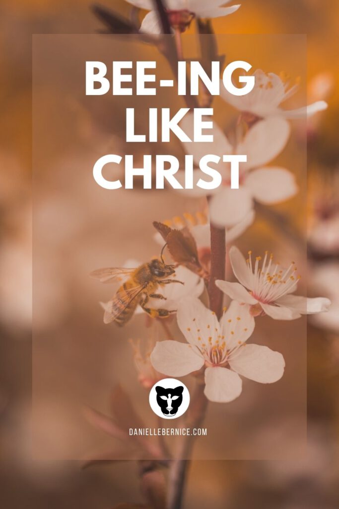A bee on apple blossom - Bee-ing like Christ