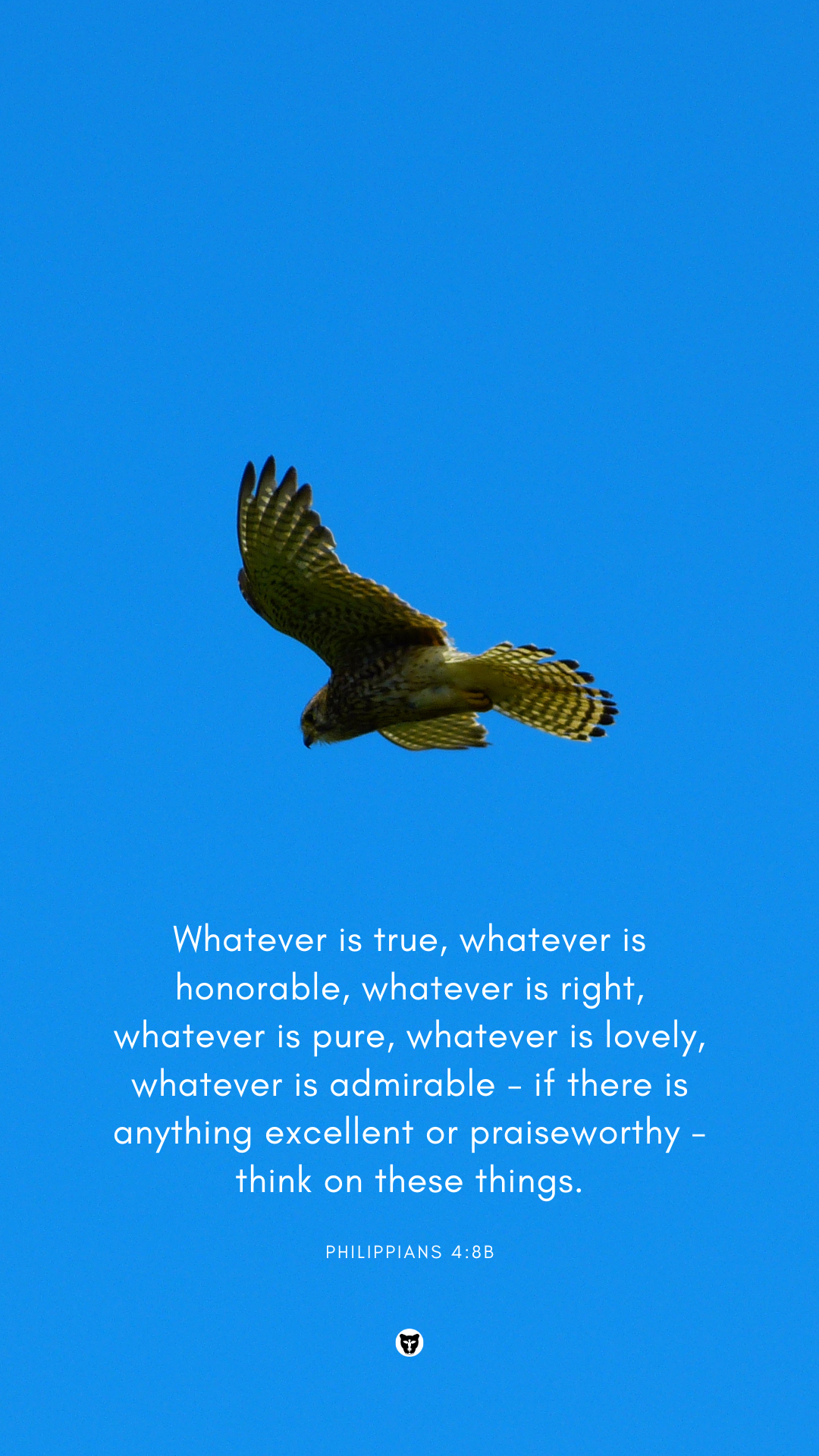 Philippians 4:8 eagle in the sky wallpaper