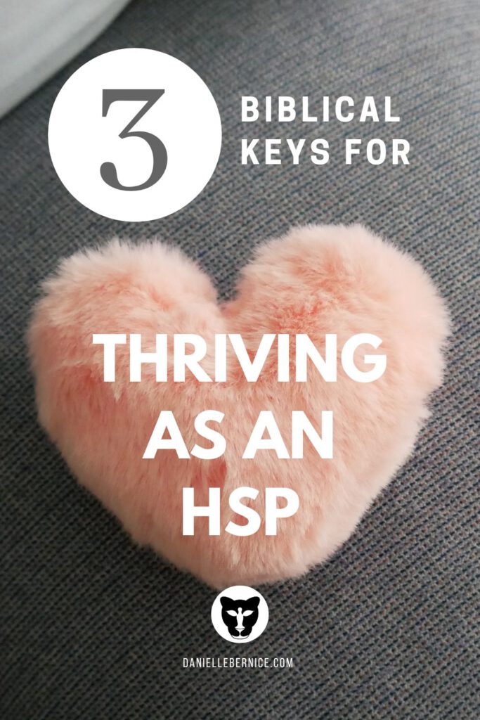 Pink soft plushy heart: 3 Biblical keys for thriving as a Highly Sensitive Christian