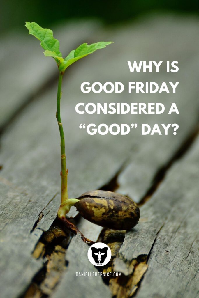 Photo of a seed sprouting the beginnings of a tree. The text reads: Why is Good Friday considered a "good" day? DanielleBernice.com