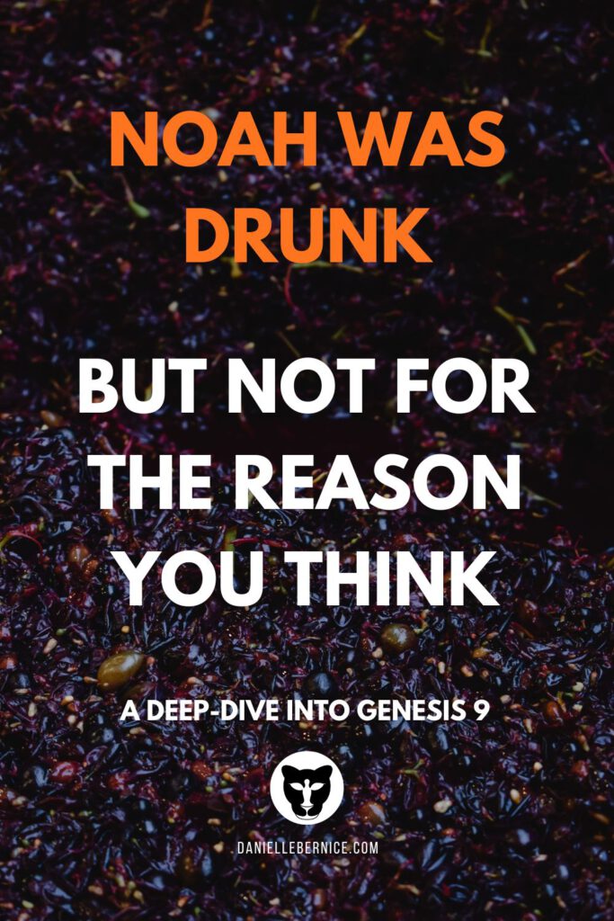 A photo of crushed grapes in a winepress. The text says: Noah was drunk, but not for the reason you think. A deep-dive into Genesis 9. DanielleBernice.com